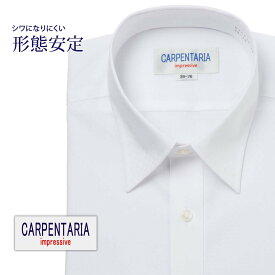 ワイシャツ 長袖 形態安定 メンズ Yシャツ カッターシャツ ビジネス 標準 CARPENTARIA レギュラーカラー ホワイトドビー市松模様 [DAPC15-28]