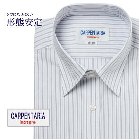 ワイシャツ 長袖 形態安定 メンズ Yシャツ カッターシャツ ビジネス 標準 CARPENTARIA レギュラーカラー ホワイト×グレー×ブラックストライプ [DAPC15-31]