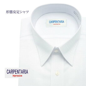 ワイシャツ 長袖 形態安定 メンズ Yシャツ カッターシャツ ビジネス 標準 CARPENTARIA レギュラーカラー ホワイトドビー チェック [P12CAR394]