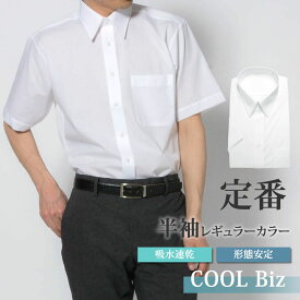 ワイシャツ 半袖 形態安定 メンズ 標準型 PLATEAU レギュラーカラー ホワイト無地 [P16PLR212]