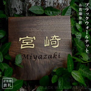 yzVR g\D Ap[g \D }V\D `\D  VR ubNEH[ibg ؂蕶  Ap[g ˌ ؎\D ӓ+ؕyubNE