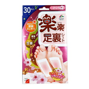 yyV[g tV[g ̍ 30 { tV[g t V[g  t r  tbgPA   ӂ͂  