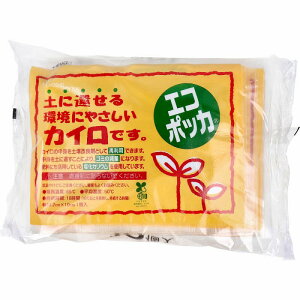 GR|bJ \ȂJC 10 JC \Ȃ  g ĝăJC  GR