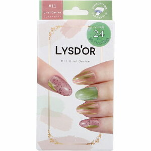 Xh[ Z~LAWFlC nhlCp EGfBoC 24 WFlCV[ ̊  Cg d WF Z~LAWFlC  lCT ZtlC