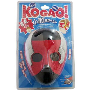 RWbg 狸xg ڐK݂̂Ɂyv`iVbvzyv`iSHOPz