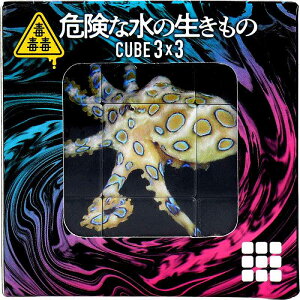 �œœ� �댯�Ȑ��̐������� CUBE 3×3(�L���[�u �X���[�o�C�X���[) 1�� �L���[�u�p�Y�� �������� �q�� ���ǂ� 6�Έȏ� ���̃p�Y�� �m��ߋ� �]�g�� �j�̎q ���̎q ���ǂ��̓�