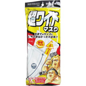 N[GCh Ch}XN 21cm×9cm  7 y2܂Ń[1zz