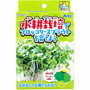 Ă̂Ђ k͔|ŃubR[XvEgĂ悤 1Zbg H Lbg wZ Lbg w j̎q ̎q q q ċx 