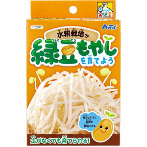 Ă̂Ђ k͔|ŗΓ₵Ă悤 1Zbg H Lbg wZ Lbg w j̎q ̎q q q ċx 