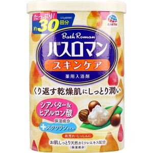 oX} XLPA p VAo^[qA_ 600g  ₦ J   C ɂ蓒   r