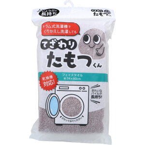 Ă肽 tFCX^I 34×80cm BR  ^I   @ CNƂ tFCX^I tFCV^I