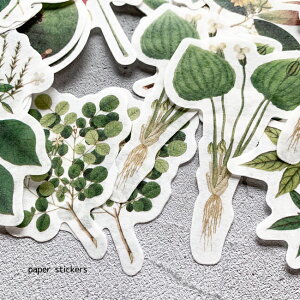  vc V[ 55 XebJ[ bsOpi e[v Be[Wt[ Stickers for Scrapbooking XNbvubLO