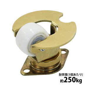  LX^[  ݃LX^[ dʗp iC 1 Pi qݕLX^[ ω׏d250kg(1) ԗ֒a58mm 34mm qݕp dʗpLX^[ ݕLX^[ 