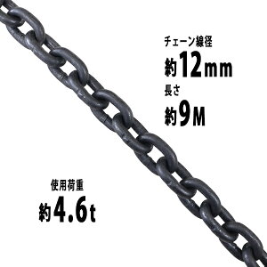  `F[ a12mm gp׏d4.6t 4600kg 9m G80 GRm~[f   ݂ `F[XO XO`F[ N`F[ `FC  N[ zCXg ʊ|