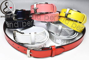 ApXB and per sexg fB[X 2023tĐV v St ApXBŋz