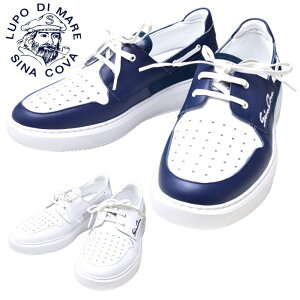 ViRo SINACOVAXj[J[ fbLV[Y Y 2025tĐV 25-26-27 C V[Y ViRoŋz