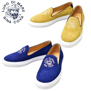 ViRo SINACOVAv XG[hXb| Y 2025H~V 25-26-27 C V[Y ViRoŋz