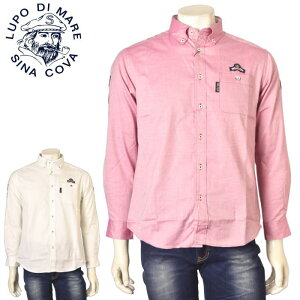 ViRo SINACOVA{^_EVc Y 2025H~V M-L-LL gbvX ViRo 25214030ŋz