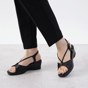 ALETTA ItBXT_ 6cmq[ i[XT_ fB[X OC b L EFbW\[ Iׂ5^Cv  S-LL  ꏜ ɂ̃v[ Ab^  r 킢