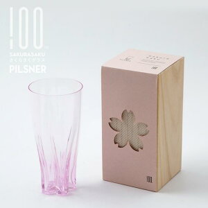 sXi[ TNF 炳OX 100% qNp[Zg r[OX 380cc TNPi KX  TN sN F