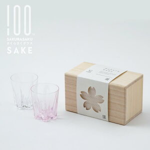 TP gZbg 炳OX 100% qNp[Zg  80cc NA+TN Zbg KX  TN