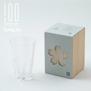 ^u[ NA 炳OX 100% qNp[Zg 240cc NAPi KX  TN