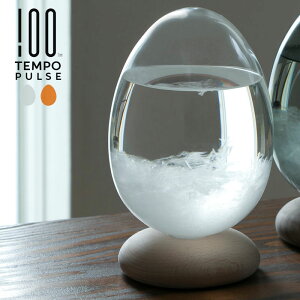 Tempo Pulse e| pX 100% qNp[Zg Xg[OX 105×170mm KX/ui NA }eBbNAo[