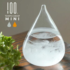 TEMPO DROP mini e| hbv ~j 100% qNp[Zg Xg[OX 80×110mm ]_KX NA }eBbNAo[