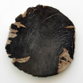 【ブラック_05】アマブロ ウッドプレート 30 amabro WOOD PLATE 30 約31×30.5cm 厚さ約2.5cm 珪化木 化石