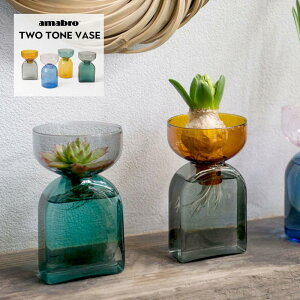 A}u c[g[x[X amabro Two Tone Vase t[x[X k͔| fBt[U[{g ֑} 