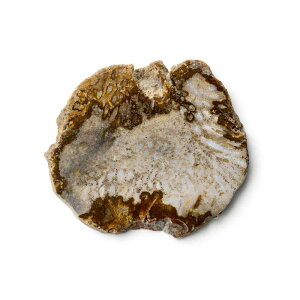 �A�}�u�� �z���̃R�[�X�^�[ amabro Mineral Coaster coral beehive jasper red gray �R�[���� �r�[�n�C�u �W���X�p�[ ���b�h �O���[ �ɋ� �������� �T���S ����