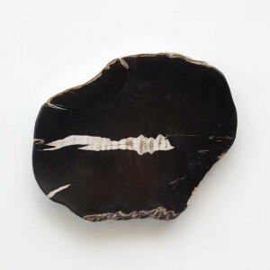 yubN_10zA}u Ebhv[g 20 amabro WOOD PLATE 20  24.5 × 20cm  2.1cm ] 