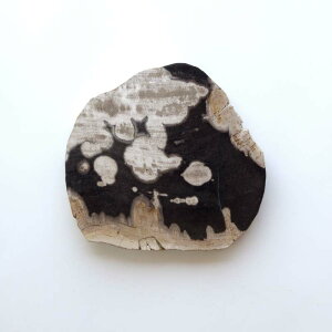 yubN_11zA}u Ebhv[g 20 amabro WOOD PLATE 20  20.3 × 19cm  1.7cm ] 