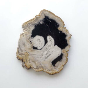 yi`_13zA}u Ebhv[g 20 amabro WOOD PLATE 20  22 × 25.5cm  2cm ] 