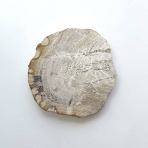 yi`_15zA}u Ebhv[g 20 amabro WOOD PLATE 20  22.5 × 22.5cm  1.7cm ] 