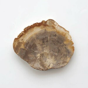 yi`_16zA}u Ebhv[g 20 amabro WOOD PLATE 20  25 × 21cm  1.6cm ] 