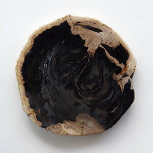 yubN_07zA}u Ebhv[g 30 amabro WOOD PLATE 30  31.5× 31.5cm  2.9cm ] 