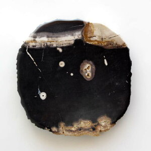 yubN_08zA}u Ebhv[g 30 amabro WOOD PLATE 30  30× 31cm  2.7cm ] 