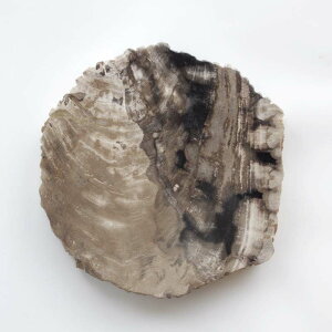 yi`_06zA}u Ebhv[g 30 amabro WOOD PLATE 30  31×32.5 cm  2.8cm ] 