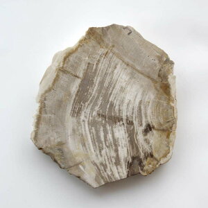 yi`_07zA}u Ebhv[g 30 amabro WOOD PLATE 30  30×34 cm  2.7cm ] 