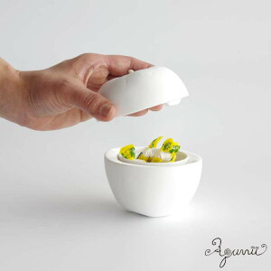 vX^[{bNX Abv Plaster box Apple Aquvii ANr  ΍p  IuWF u  zCg