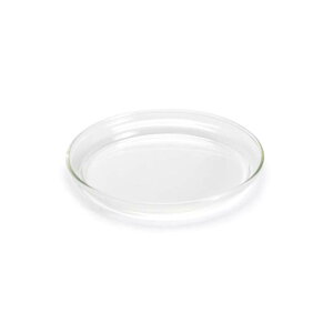 y S zKXv[g X[ Trendglas-Jena Glass Plate "Small" ghOXCGi STCY 13.1cm M ϔMKX 
