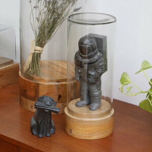 KXh[ V_[2 HERE Glass Dome "WB-CYL-2" KXP[X ~ fBXvC 14.5×H33.5cm