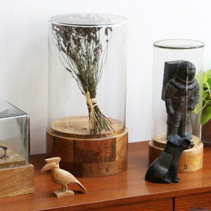 KXh[ V_[4 HERE Glass Dome "WB-CYL-4" KXP[X ~ fBXvC 22×H40.5cm