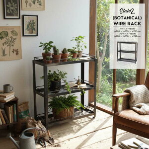 StahL BOTANICAL WIRE RACK V^[ {^jJ C[ bN YARD A I S ACA X`[ LX^[ Aؔ fBXvC