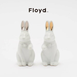 Floyd Fortune Rabbit tCh tH[` rbg e  zCg  2CZbg