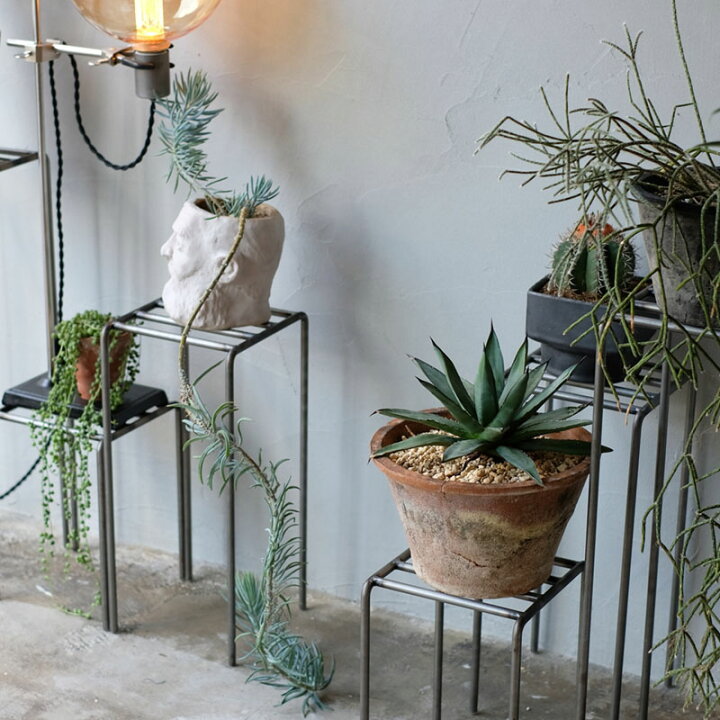 楽天市場】KNOP plant stands 3 pieces set ノップ プラントスタンド 