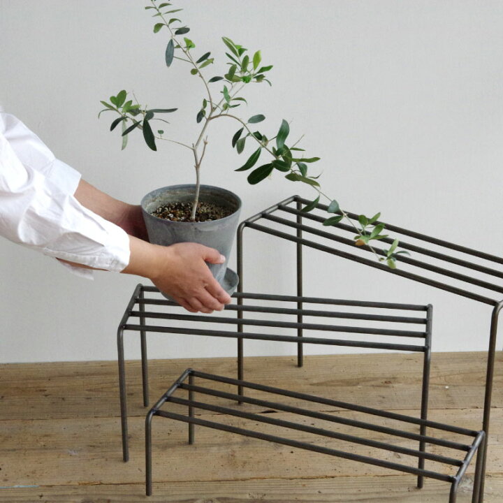 楽天市場】KNOP plant stands WIDE 3 pieces set ノップ プラント 