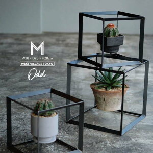 y MTCY zODD CUBIC BOX Ibh L[rbN {bNX WEST VILLAGE TOKYO EGXgrbWg[L[ fBXvC A ACA L[u t[ lp