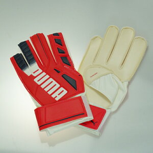 yPUMAv[}@L[p[O[uzGHXs[h 5.3@PNK×NVY/sN×lCr[@041017 TbJ[@tbgT@GKO[u@L[p[